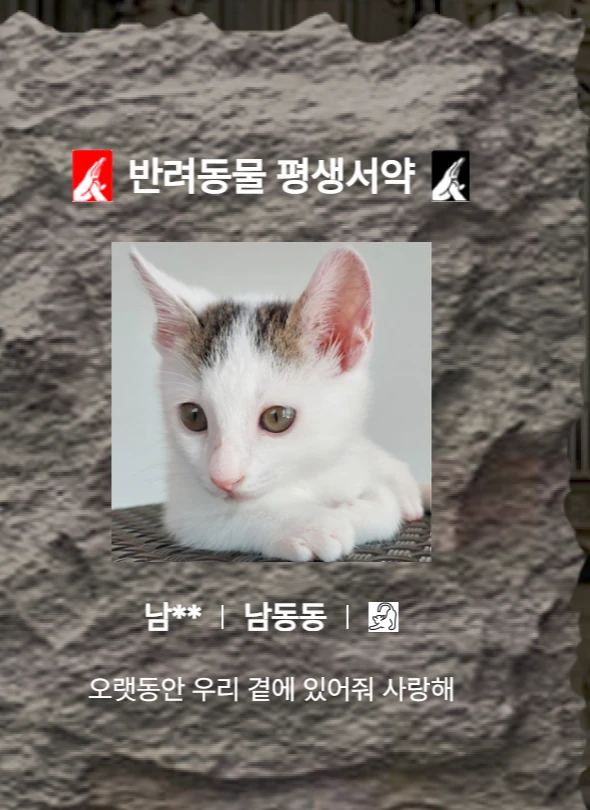 보호자 이름 일부와 아이 이름, 사진, 평생서약 구분, 가족이 남긴 한마디가 보이는 실제 KiPFRi 서약의돌 카드